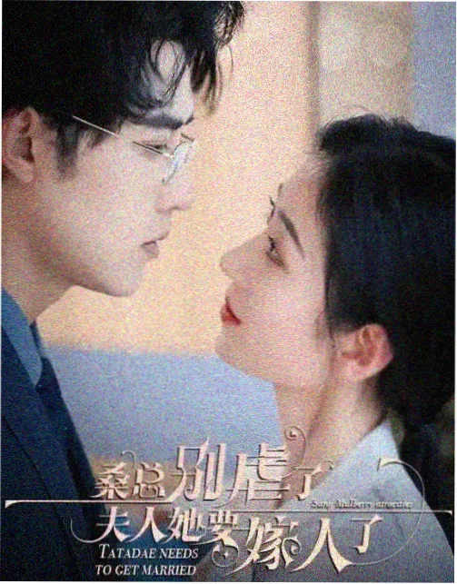 枫与玲新片发布会